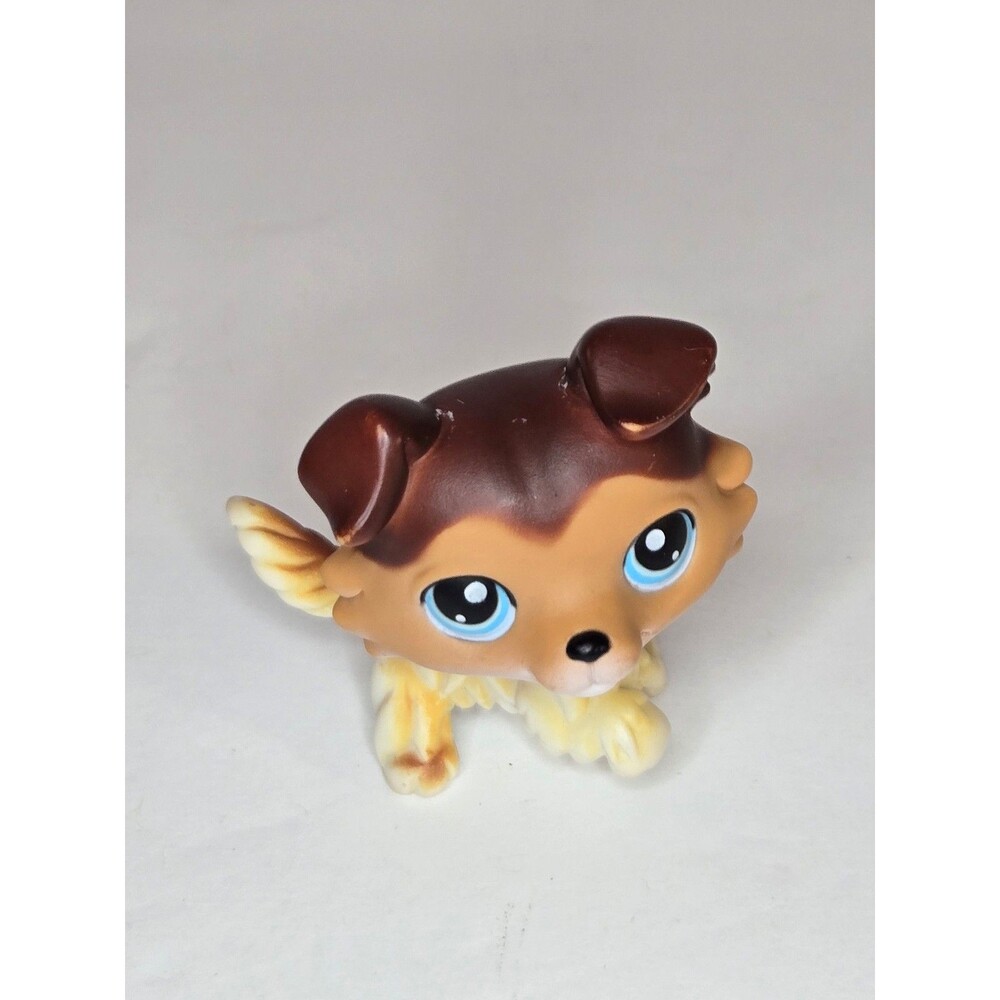 Authentic Littlest Pet Shop #58 Brown tan collie dog Sage paw up Paint Loss
